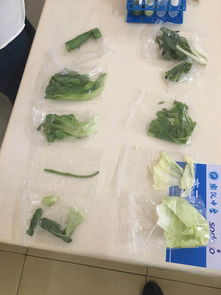 乐从中学食堂食用农产品快检信息公布，保障师生饮食安全